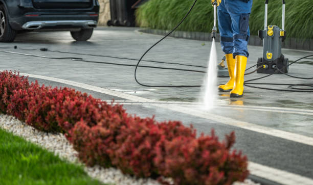 Best Deck Cleaning Services  in St Hedwig, TX