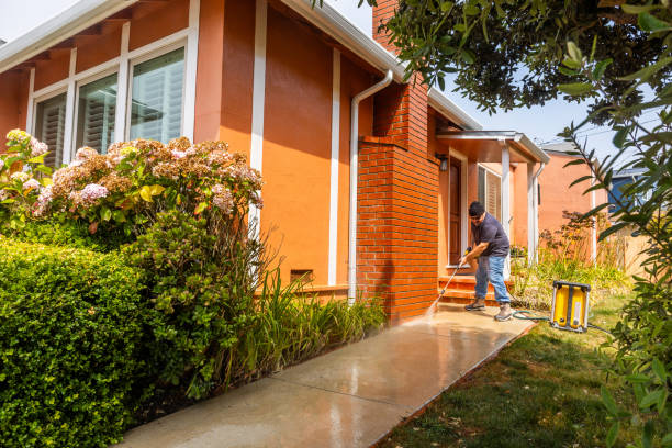 Best Commercial Pressure Washing  in St Hedwig, TX