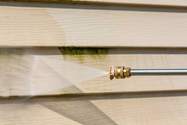 Best Roof Pressure Washing  in St Hedwig, TX