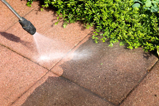 Best Roof Pressure Washing  in St Hedwig, TX